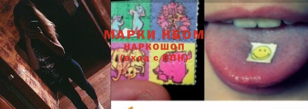 крисы Елизово