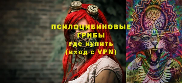 гашик Елабуга