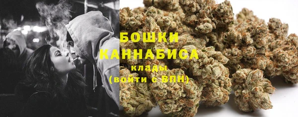 винт Галич