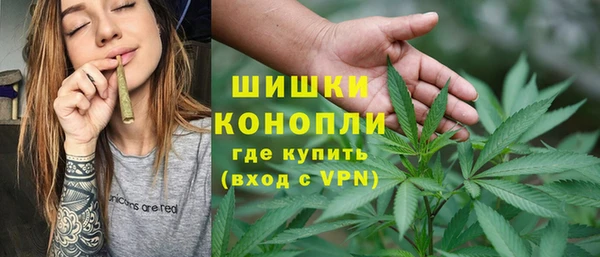 крисы Елизово